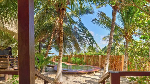 A pool area with palm trees and a wooden deck.