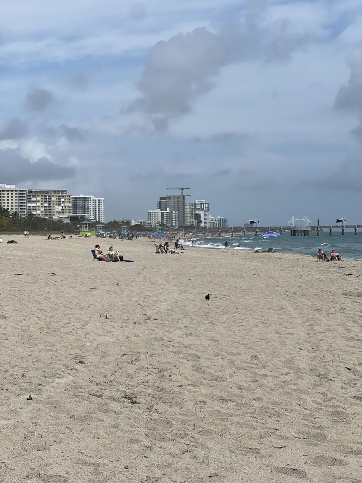 Imagen de perfil del propietario o de la propietaria