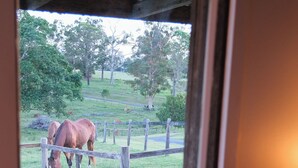A window view of a stable with horses.
