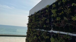 A modern building with a vertical garden facade and a view of the sea. - Modern Beachfront Luxury in Monrovia  (Monrovia)