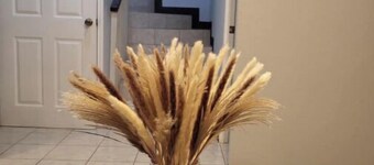 Safe and quiet environment 