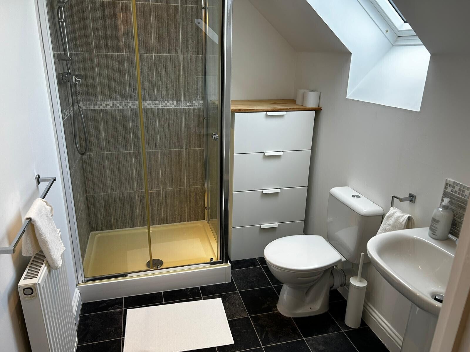 Shower, hair dryer