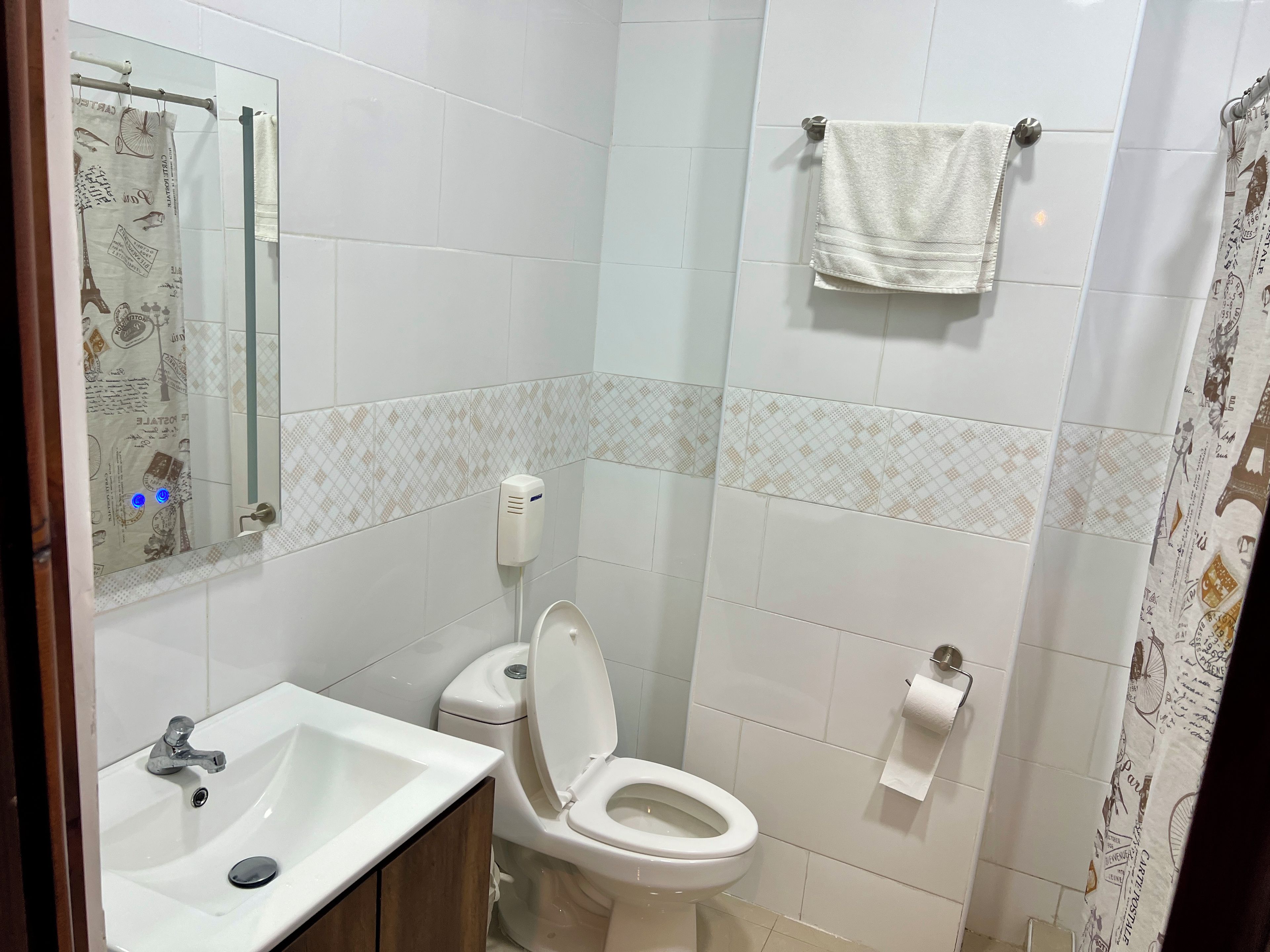 A bathroom with a sink, toilet, and a mirror.