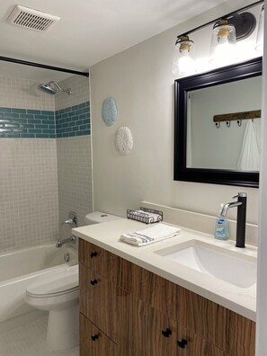 Shower, towels, toilet paper - All American Beach town, 1 bedroom, AC, security & location, location, location (Delray Beach)