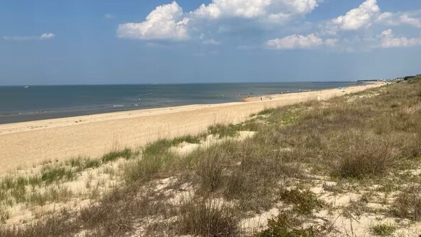 A beach with sand dunes and a clear sky. - Ocean View Beach House. Sleeps 8 Coastal Luxe. Seabreeze! (Norfolk)