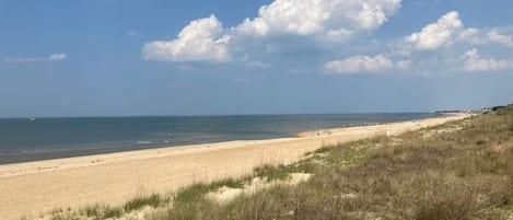 On the beach, sun-loungers