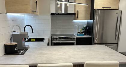 Brand new luxurious basement studio apartment 5 minutes away from Frenchman’s