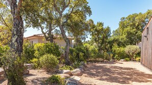 A garden with a dirt path, rocks, and various shrubs.