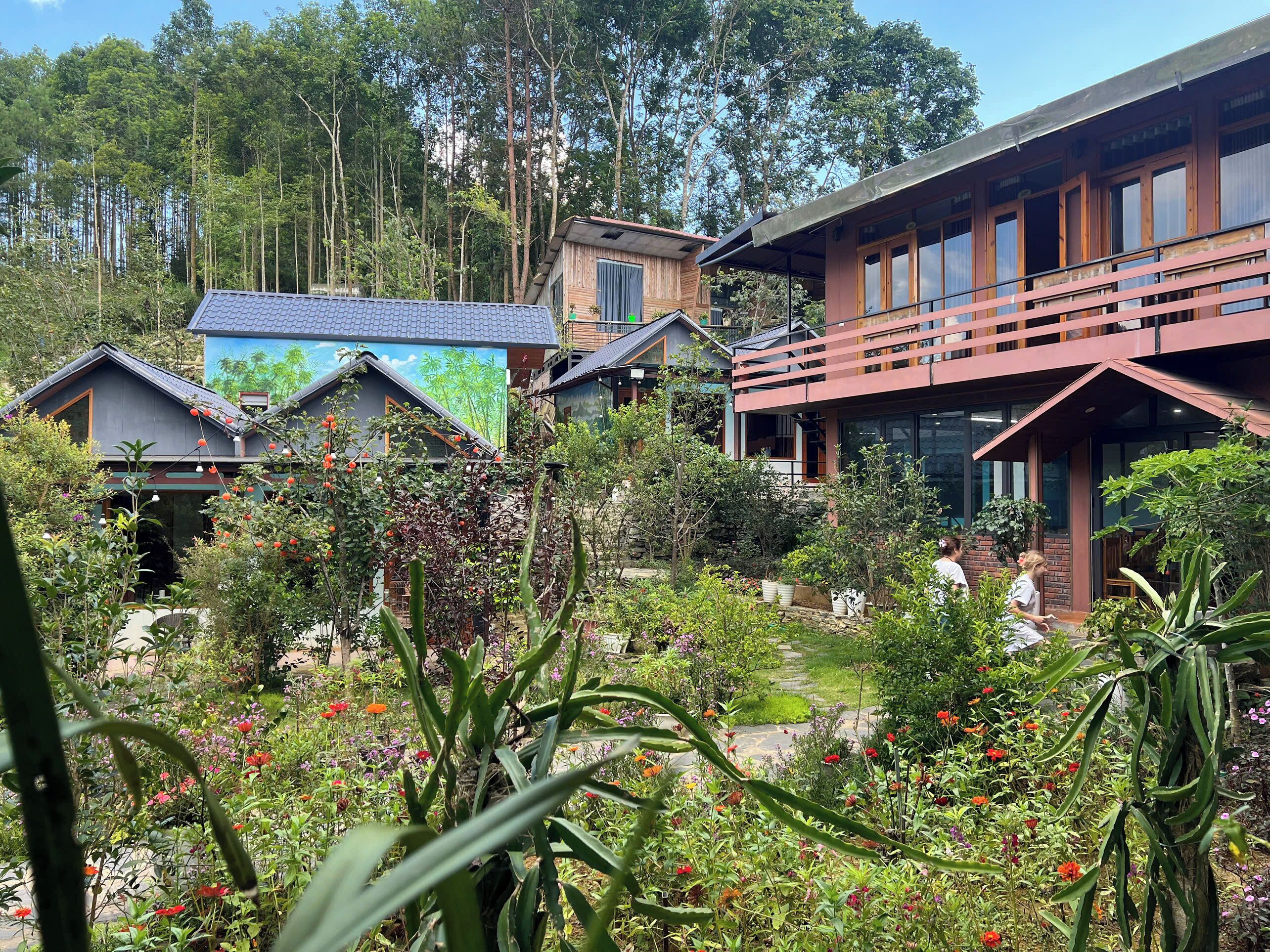 Un quartier résidentiel avec plusieurs maisons, un jardin agrémenté de diverses plantes et fleurs, et un ciel dégagé.