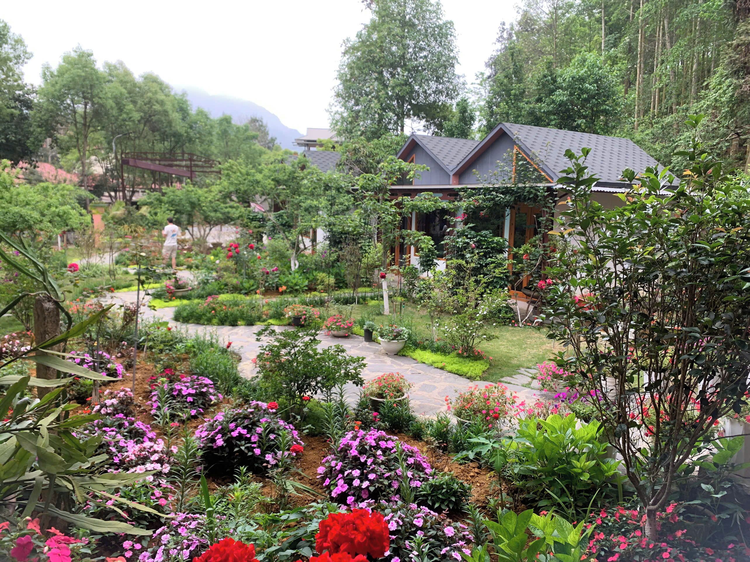 Panoramic Bungalow