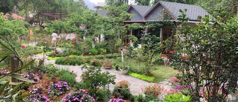 A garden with a house, surrounded by various plants and flowers.