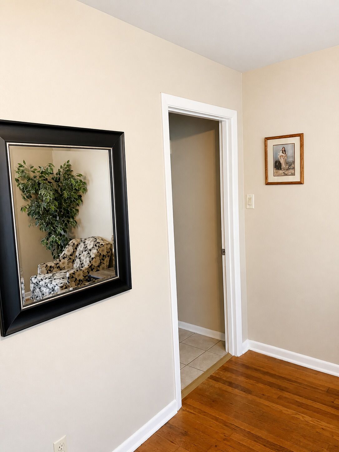 A hallway with a framed mirror, a door leading to another room, and a small framed picture on the wall.