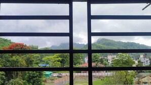 A view through a window with a grid pattern, revealing a green landscape with trees and a distant hill.