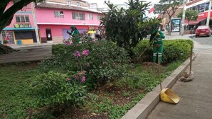 A garden area with plants and a person in green attire. - Seventh Alameda Plaza - Cali, Colombia (Cali)