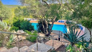 A pool area with steps leading down to a pool, surrounded by various plants and trees. - SUITE CON VISTAS A PLAYA DE SON BOU (Son Bou (Platja))
