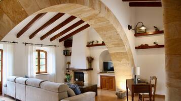 Televisie, een open haard en boeken