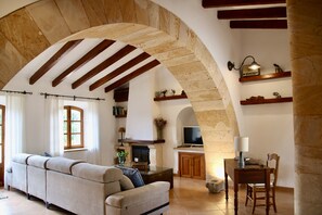 TV, fireplace, books