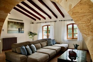 TV, fireplace, books - Es Molí d`en Mig, jacuzzi, pool and barbecue (Consell)