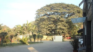 A paved courtyard with a large tree, a building on the right, and a parked car in the background. - Sahyadri Guest House (Talasri)