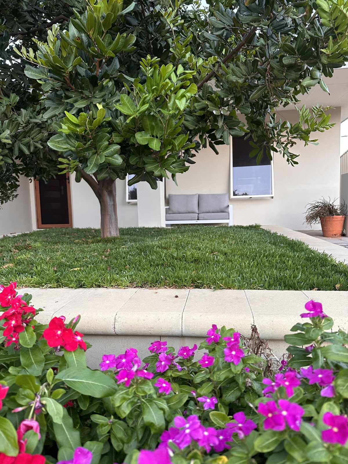 オーナーのプロフィール画像