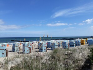 A beachside hotel with rows of blue wicker chairs and umbrellas, a pier in the background, and a clear blue sky. - Apartment 'Dühne' with Private Terrace and Wi-Fi (Kühlungsborn)