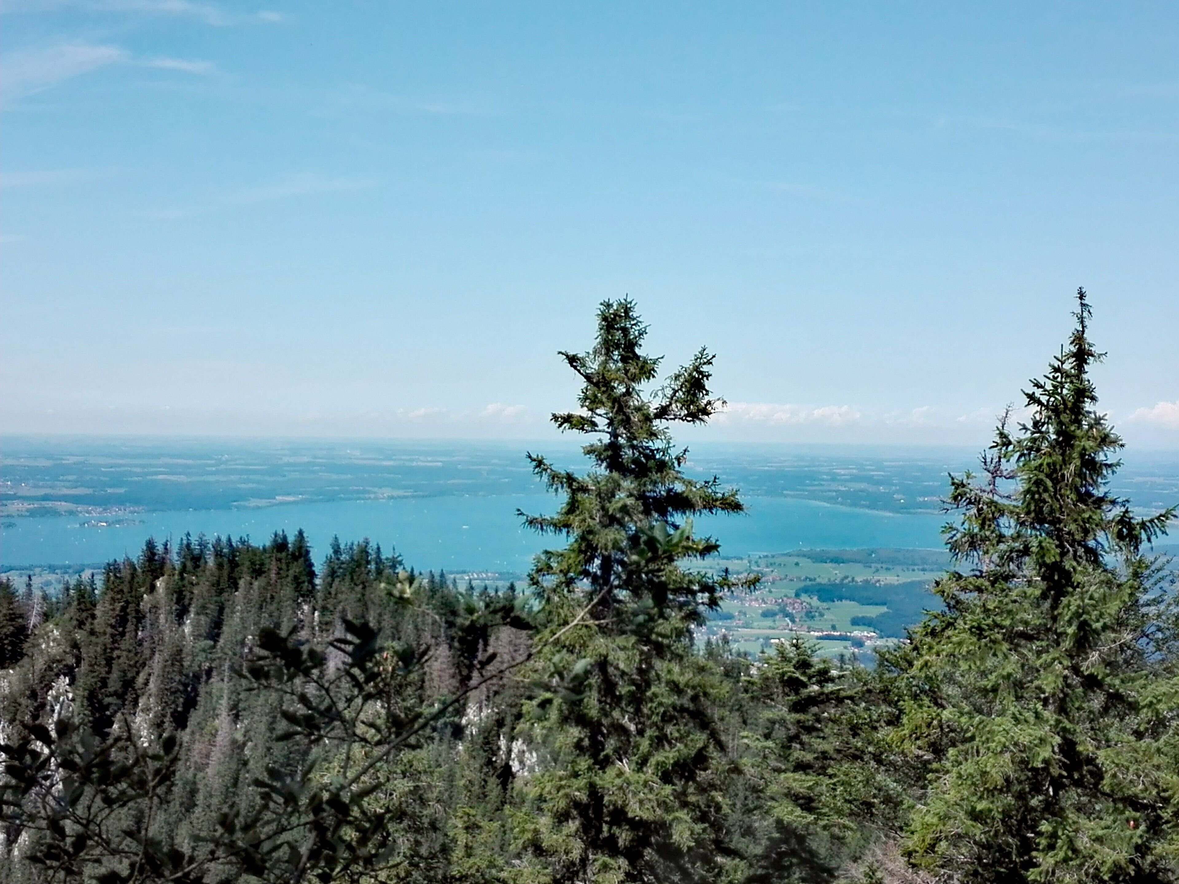 Aussicht auf eine gebirgige Landschaft mit dichten Nadelbäumen und einem weiter entfernten Gewässer.