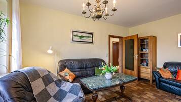 Fernseher, Stereoanlage