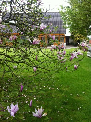 Property grounds - Apartment 'Abendsonne' with Shared Garden, Balcony and Wi-Fi (Westerdeichstrich)