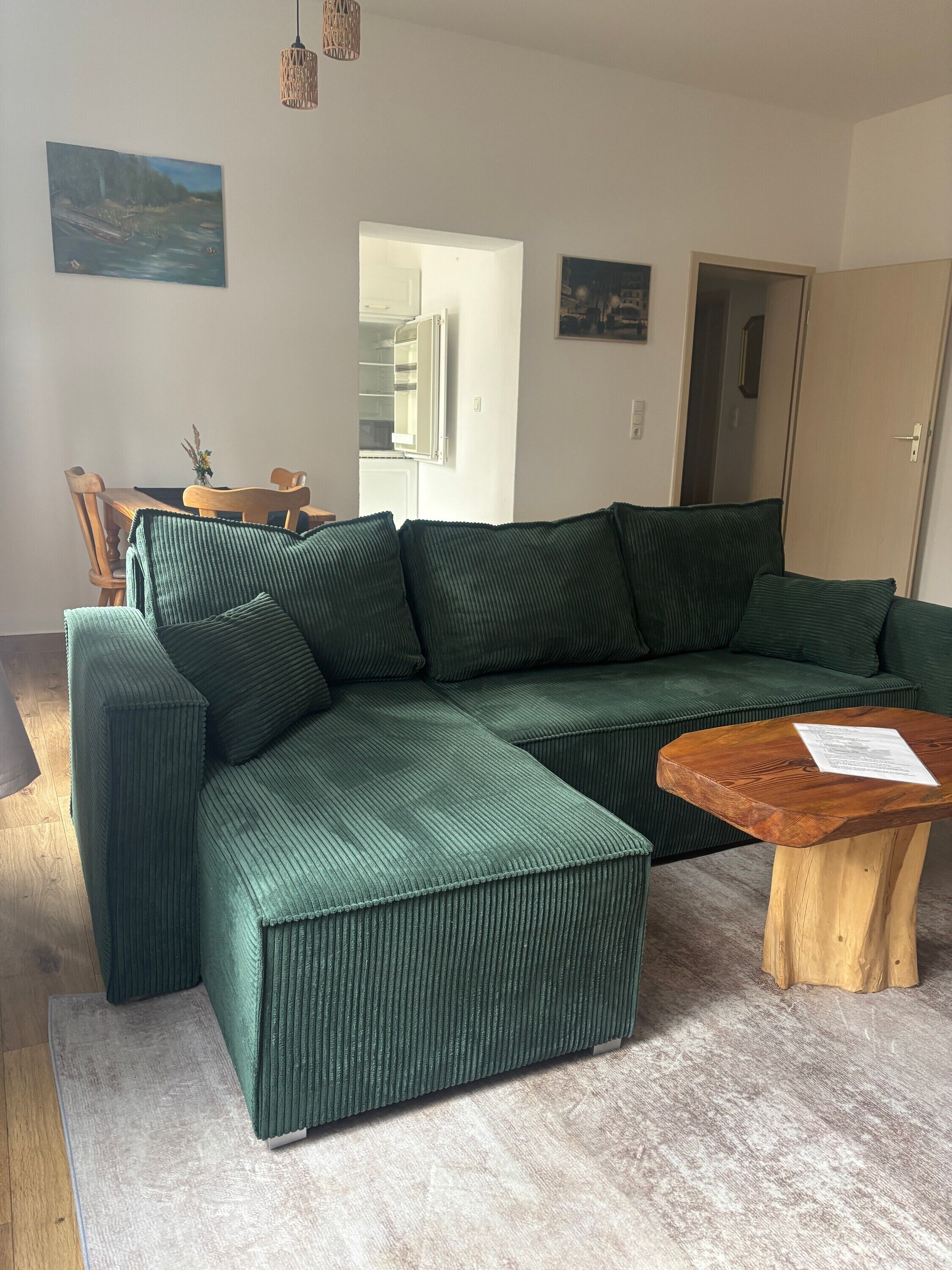 TV, fireplace, table tennis