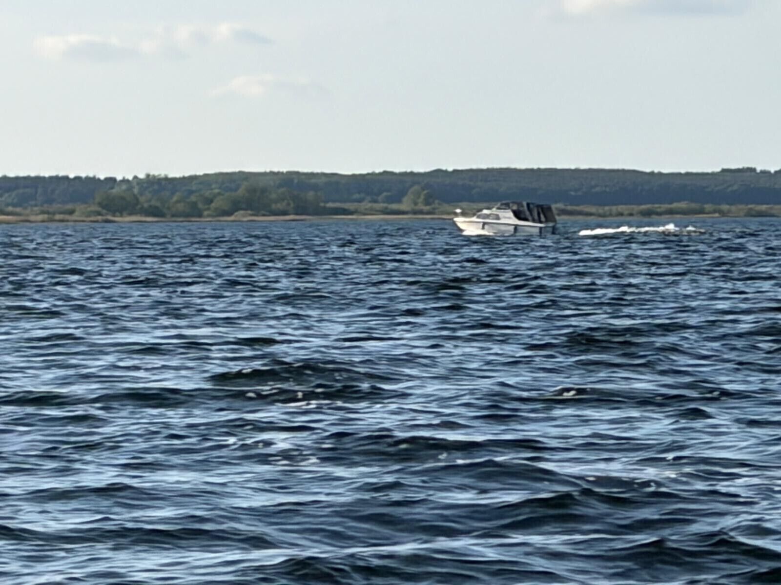 Ein Boot auf dem Wasser, im Hintergrund eine bewaldete Uferlinie.