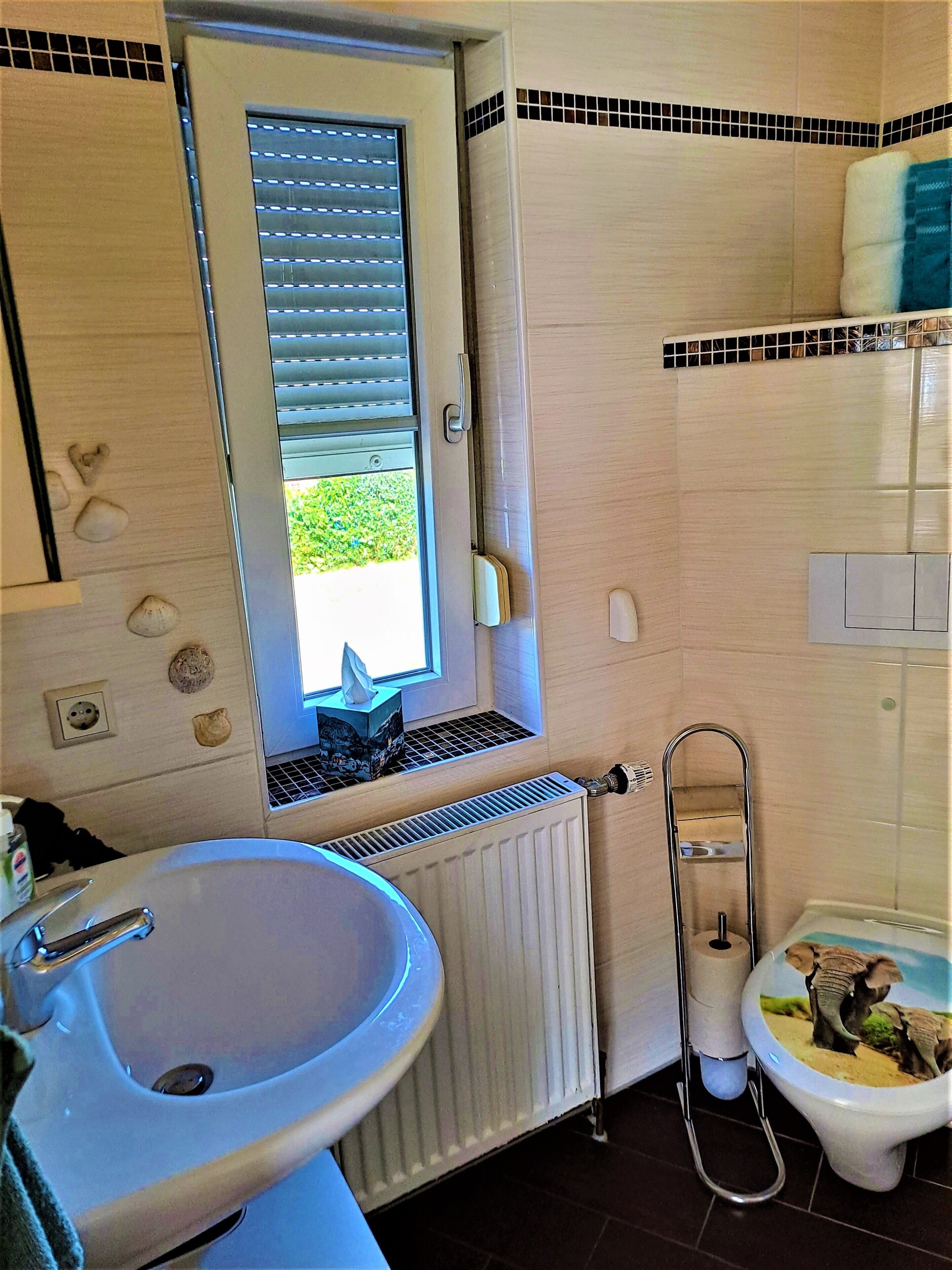 Shower, hair dryer, towels