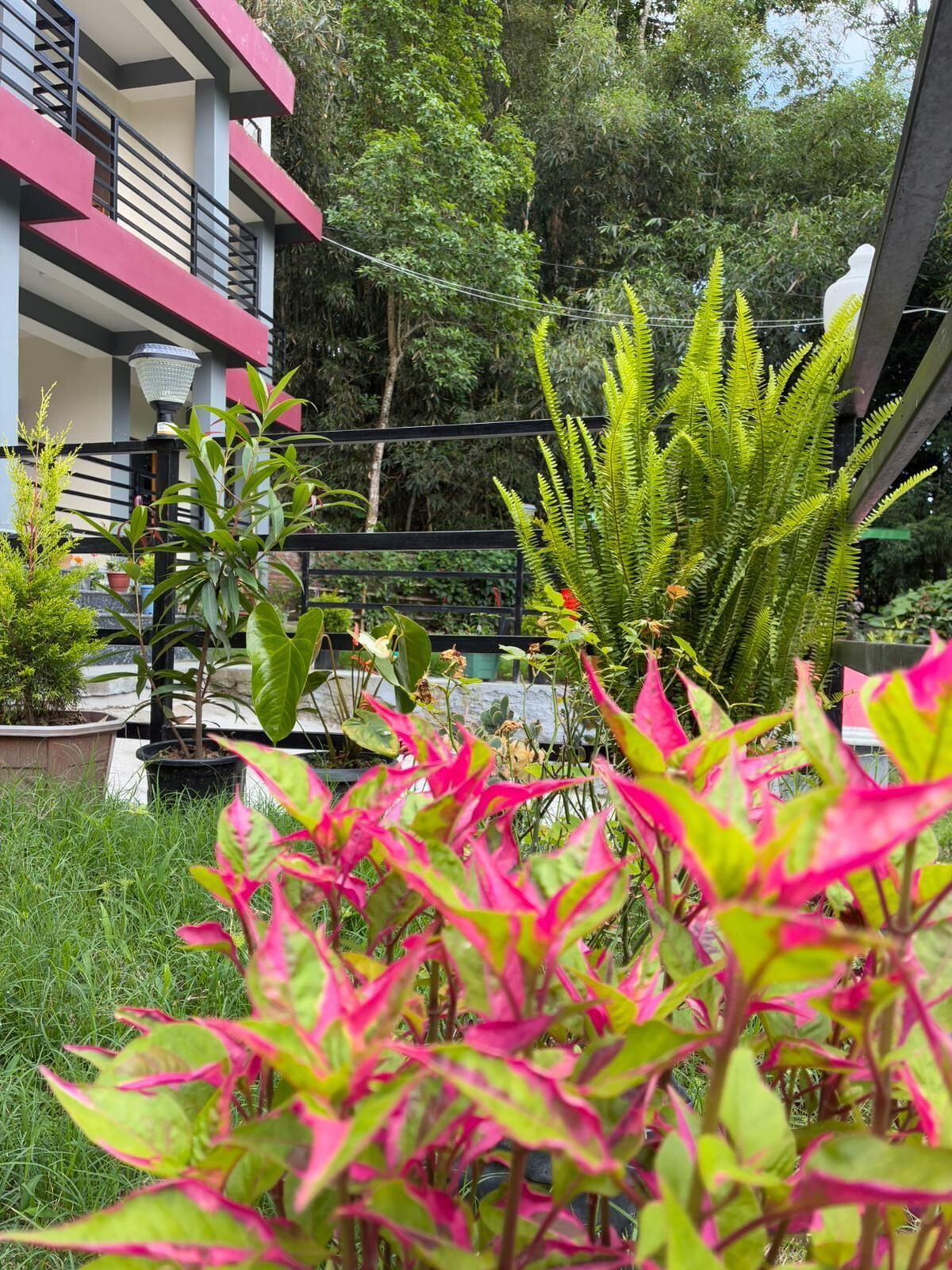 إطلالة على الحديقة