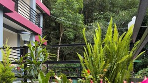 A modern building with balconies, surrounded by lush greenery and ferns. - The Grand Kalimpong (Kalimpong)