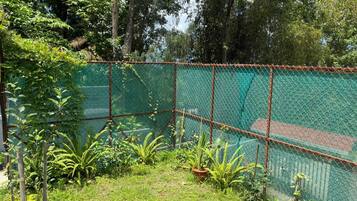 Un jardín cercado con diversas plantas y un árbol pequeño.