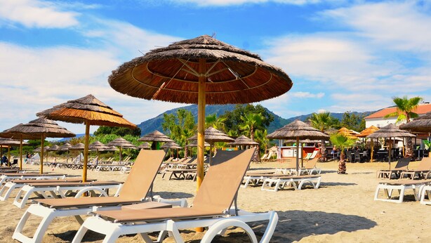 Beach chairs and thatched umbrellas arranged on a sandy beach with palm trees and mountains in the background. - Bungalow on the sea - Moriani beach (Santa-Lucia-di-Moriani)