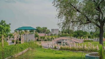 Garden view