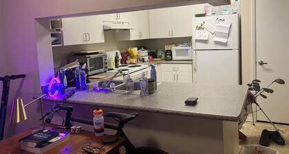 750 sq ft, carpeted, futon.