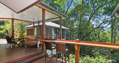 Rainforest Relaxation.