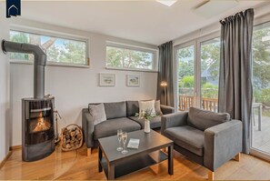 テレビ、暖炉、書庫、ステレオ