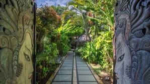 A pathway leading through a lush garden with intricate carvings on the walls.