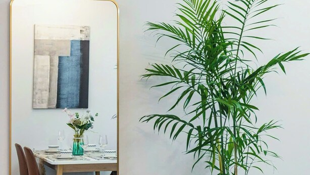 Un comedor con una mesa dispuesta para cuatro, una planta alta en maceta y un espejo grande en la pared.
