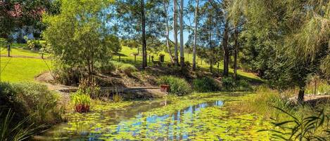 Àrea exterior de l'allotjament