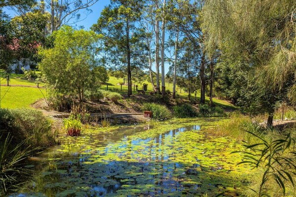 Sit by the serene pond surrounded by lush greenery and tall trees.
