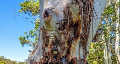 Moor Creek Cottage: Family Haven