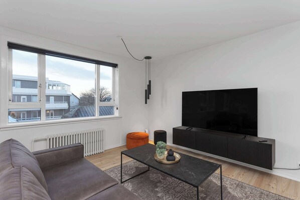 Fernseher