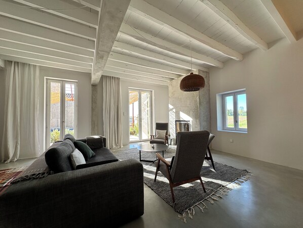 Televisión, chimenea y libros 