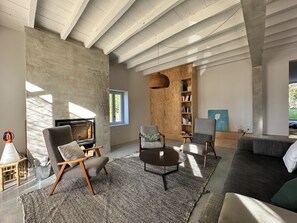 TV, fireplace, books