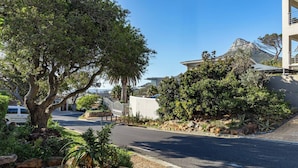 A street with a large tree and a building with a mountain in the background. - Charming Garden Cottage, Campsbay, Cape Town (Cape Town)