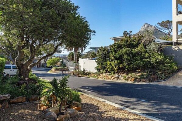 A street with a large tree and a building with a mountain in the background. - Charming Garden Cottage, Campsbay, Cape Town (Cape Town)