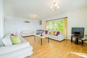 تلفزيون، مشغل دي في دي